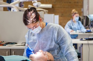 Dental hygiene Student cleaning teeth at Sheridan College