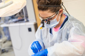 Dental hygiene oral health teeth cleaning student Sheridan College Wyoming