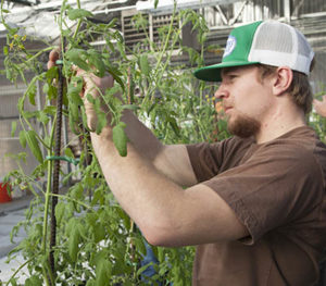 Study Horticulture and Sports Turf Management at Sheridan College.