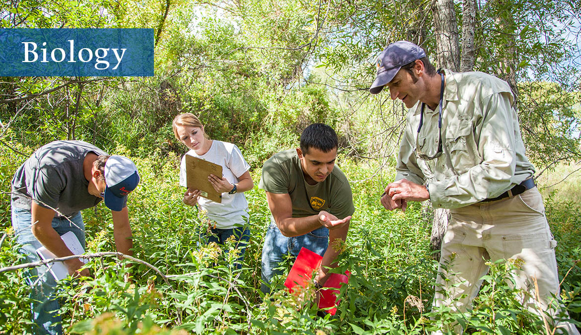 Earn your biology degree from Sheridan College or Gillette College.