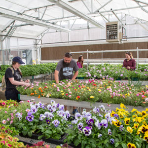 Student run greenhouses.