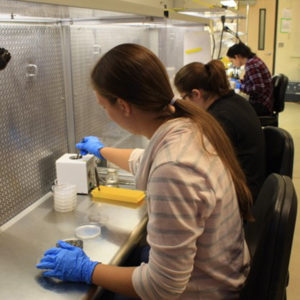 Horticulture labs