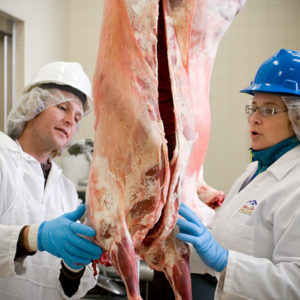 Animal Science at Sheridan College