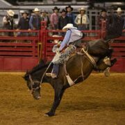 sheridan rodeo image