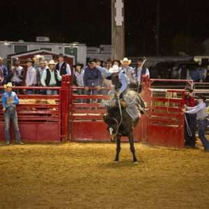 Whitney Days at Sheridan College, image of rodeo team rider at Pat Hamilton Rodeo