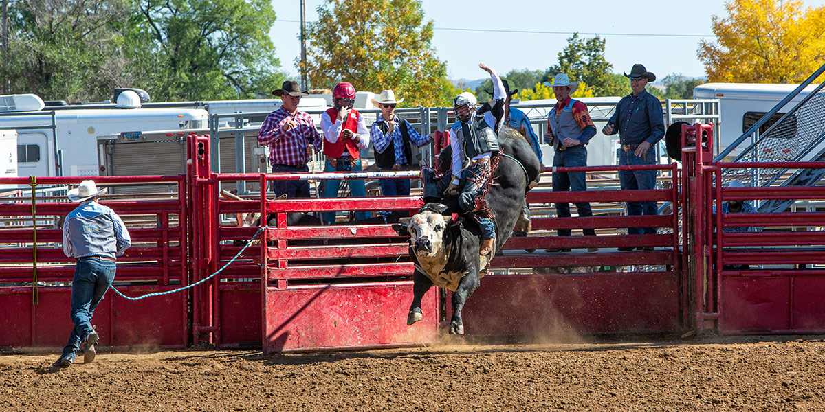 Rodeo photo 9602