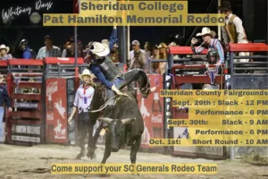 Pat Hamilton Rodeo pic