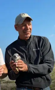 Brian Mutch falconer with Aplomado falcon