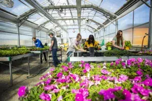 Greenhouse at Sheridan College Agriculture program