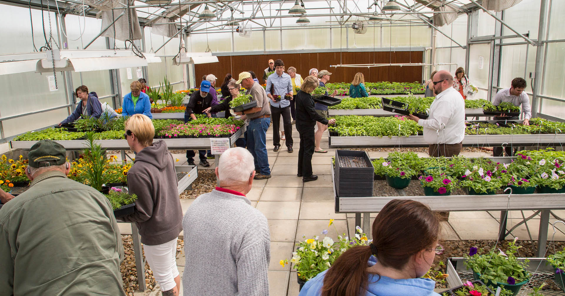 Plant sale at Sheridan College