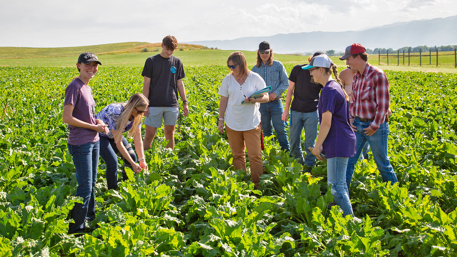 Sheridan College agriculture class in the field on campus.