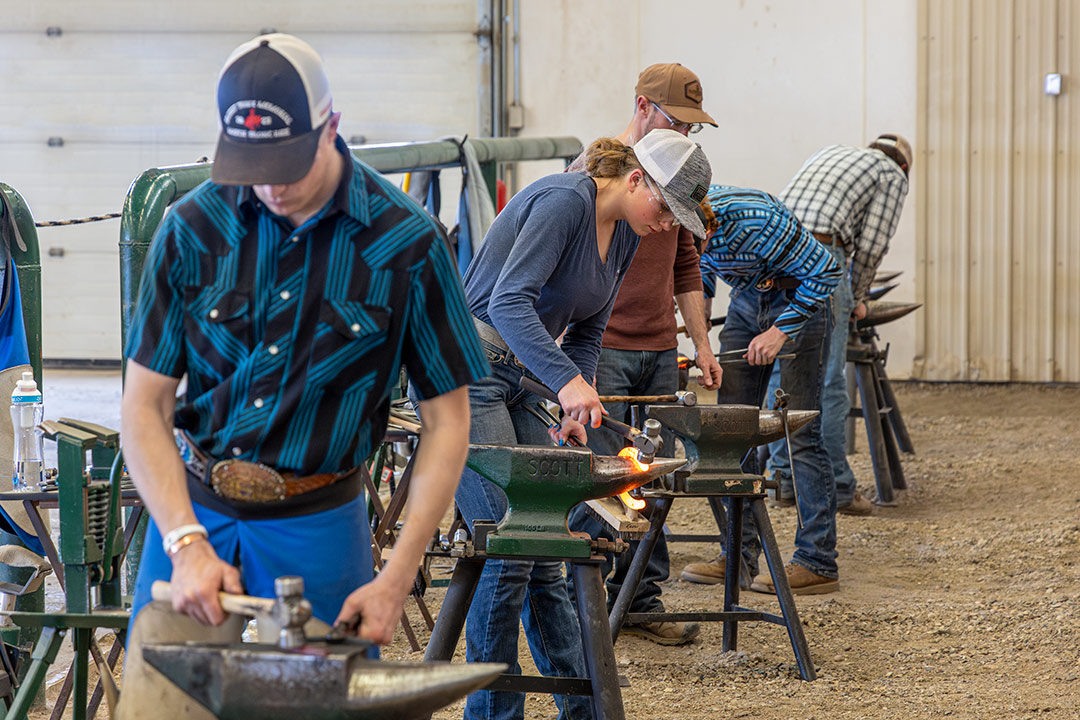 Sheridan College Farrier students forging horseshoes on an anvil.