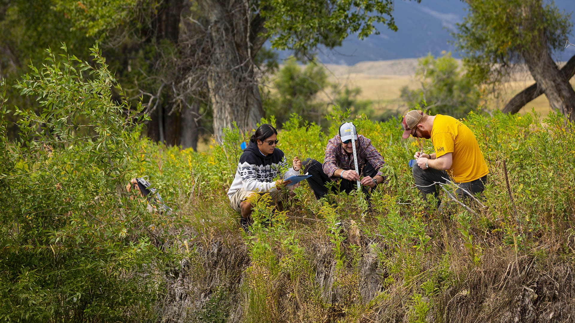 Two students and an instructor in the field taking measurements of plant height