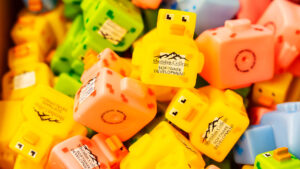 Sheridan College photo of rubber duckies
