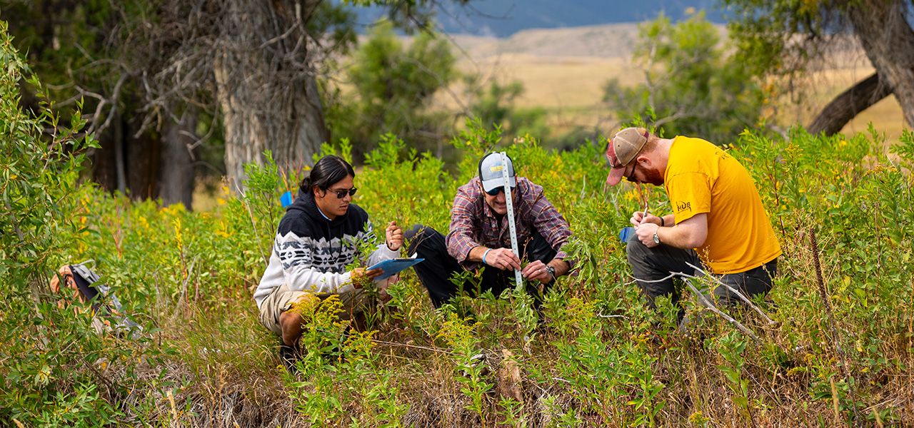 Sheridan College ecology students outside in one of our many field labs. Students in the tall grass.