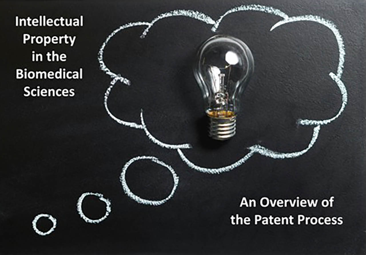 Graphic about Patent Process Lecture