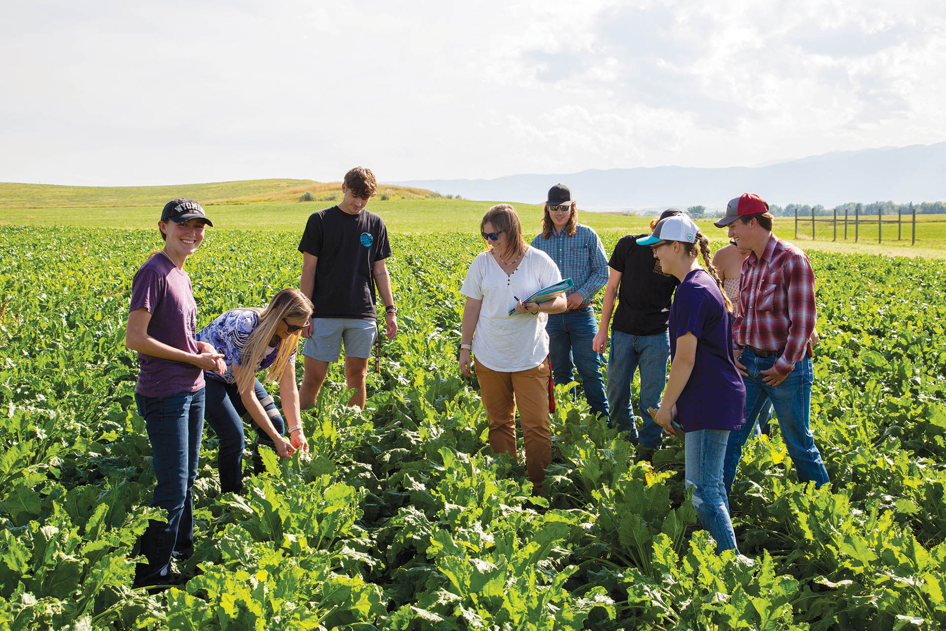 Students in a field with row crops as the instructor holds up something for them to look at, mountains in the background