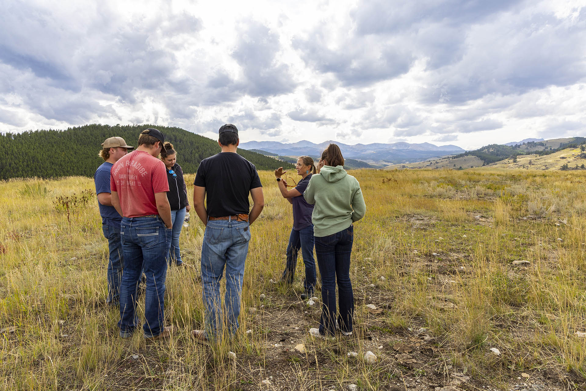 Rangeland Management class in the field in the bighorn mountains