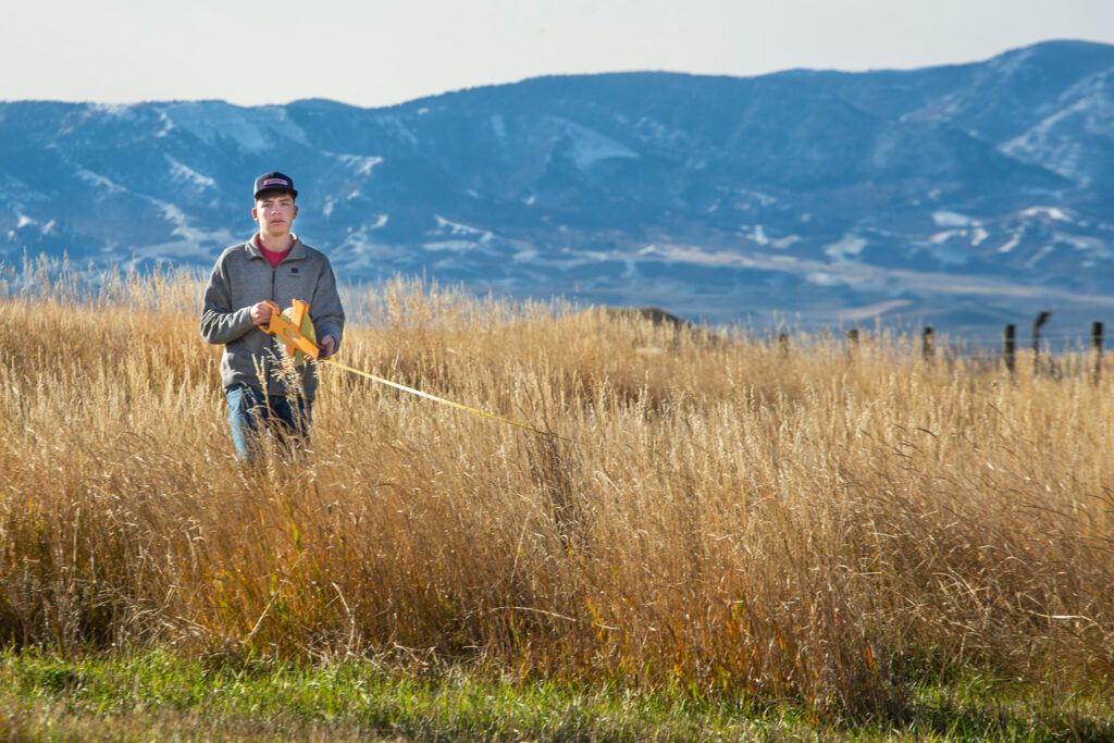 Sheridan College student in the field of wheat surveying.