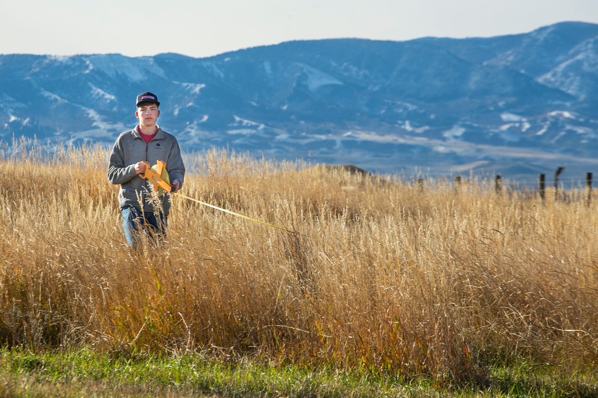 Sheridan College student in the field of wheat surveying.