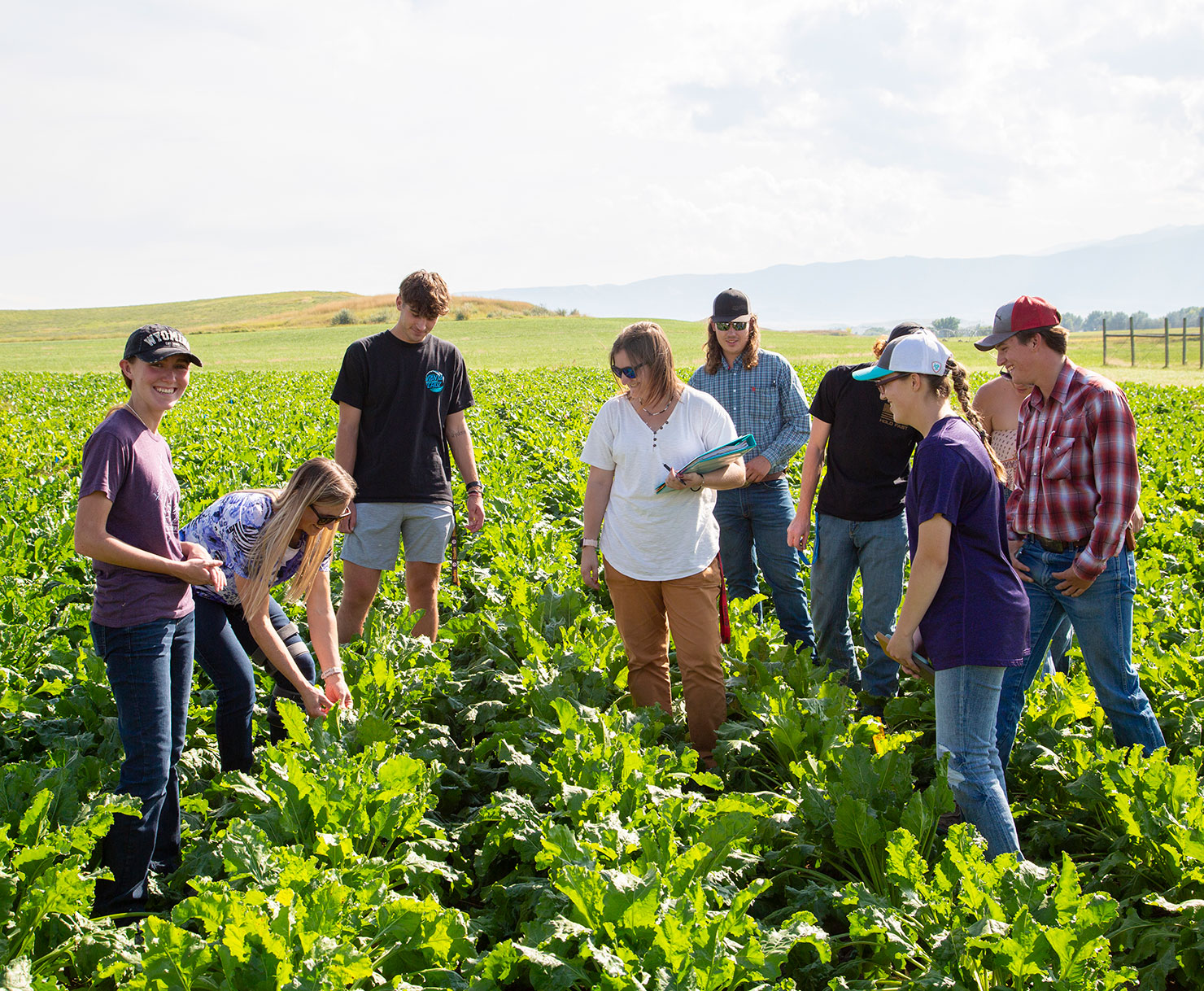 Sheridan College agriculture class in the field on campus.