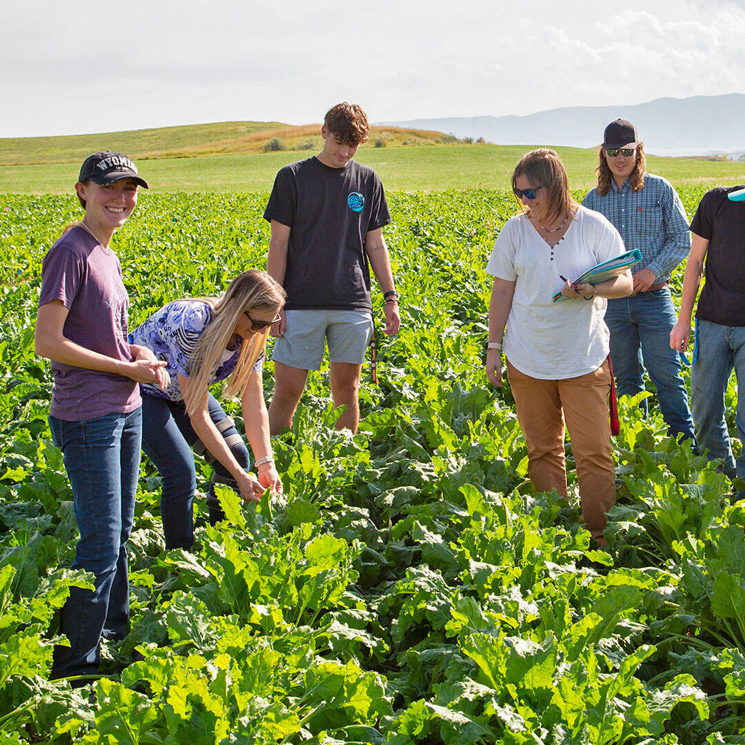 Sheridan College agriculture class in the field on campus.