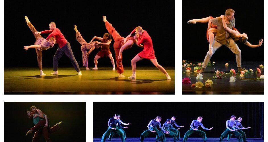 SALT Contemporary Dance Company