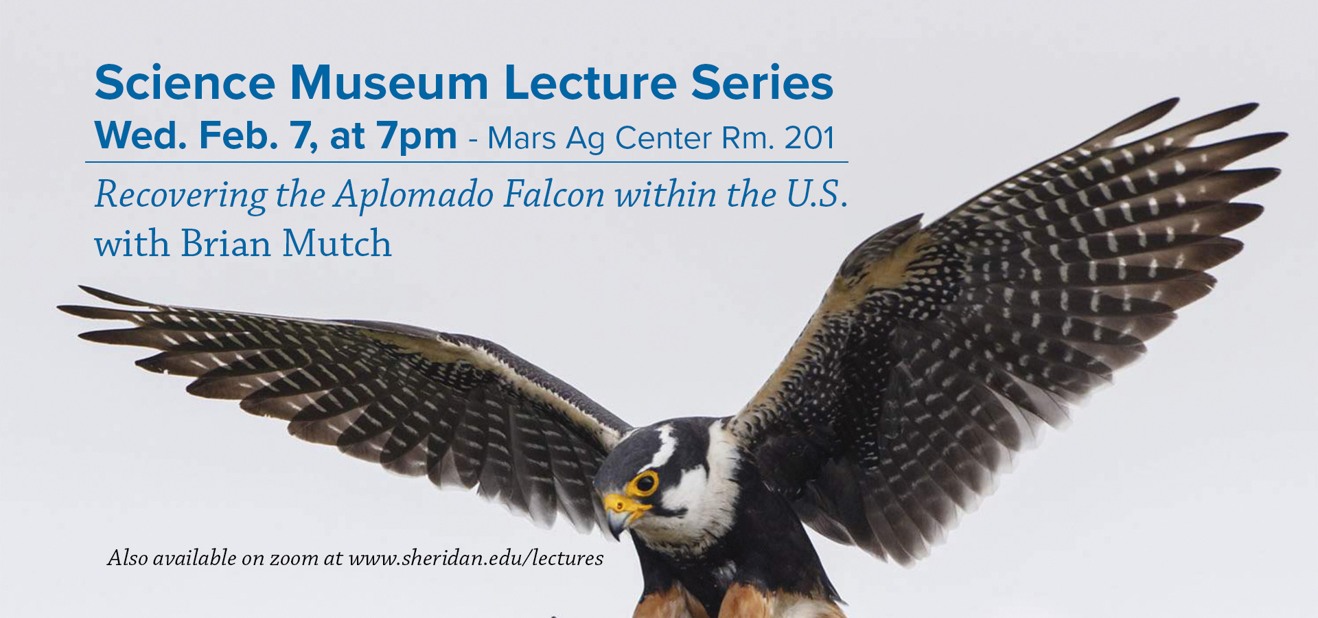 Graphic for Brian Mutch Lecture on Aplomado Falcon recovery