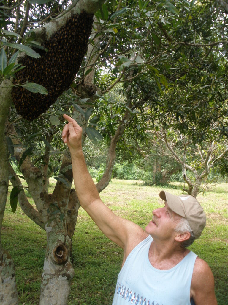 Will Robinson studying bees
