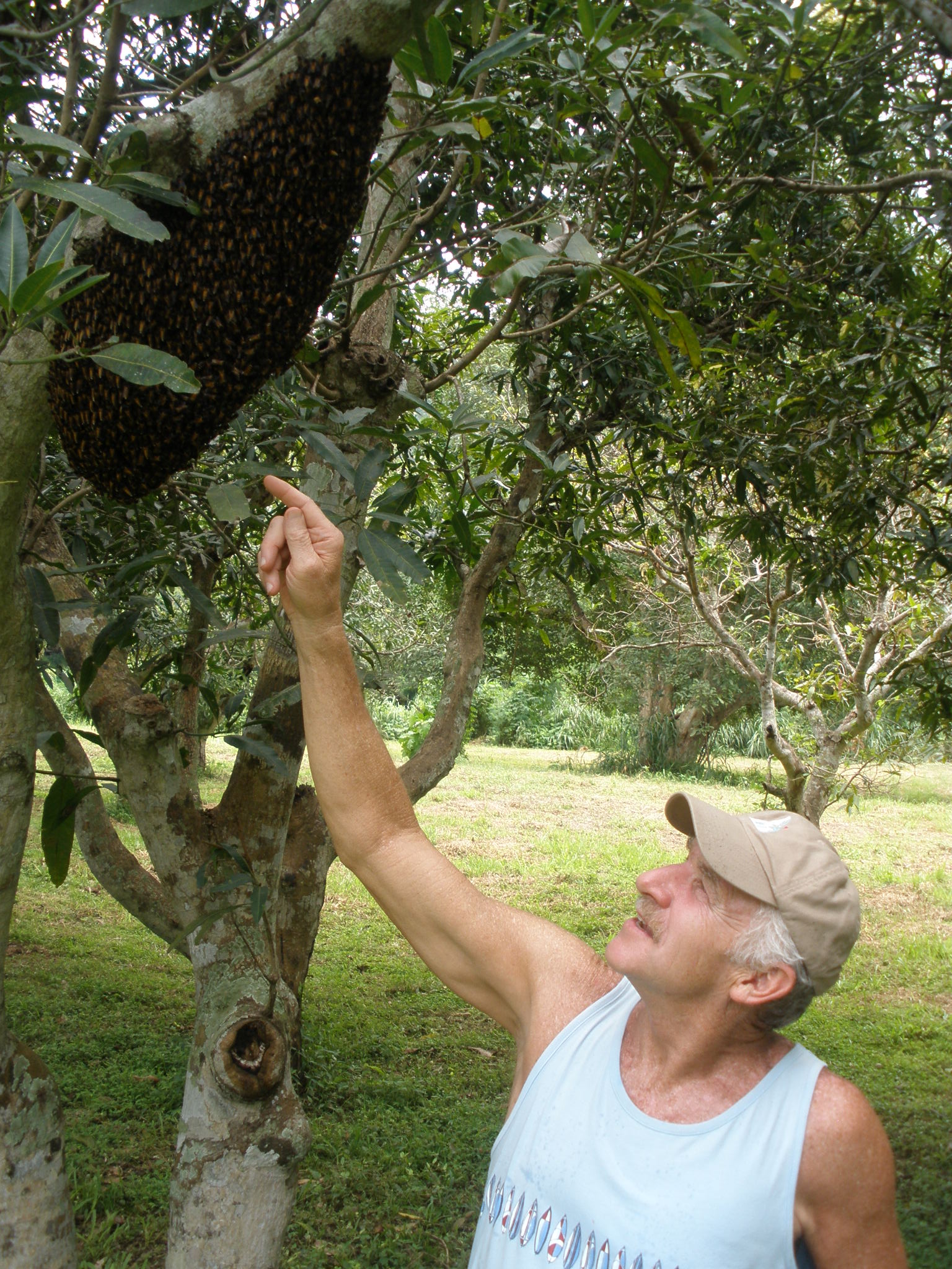 Will Robinson studying bees