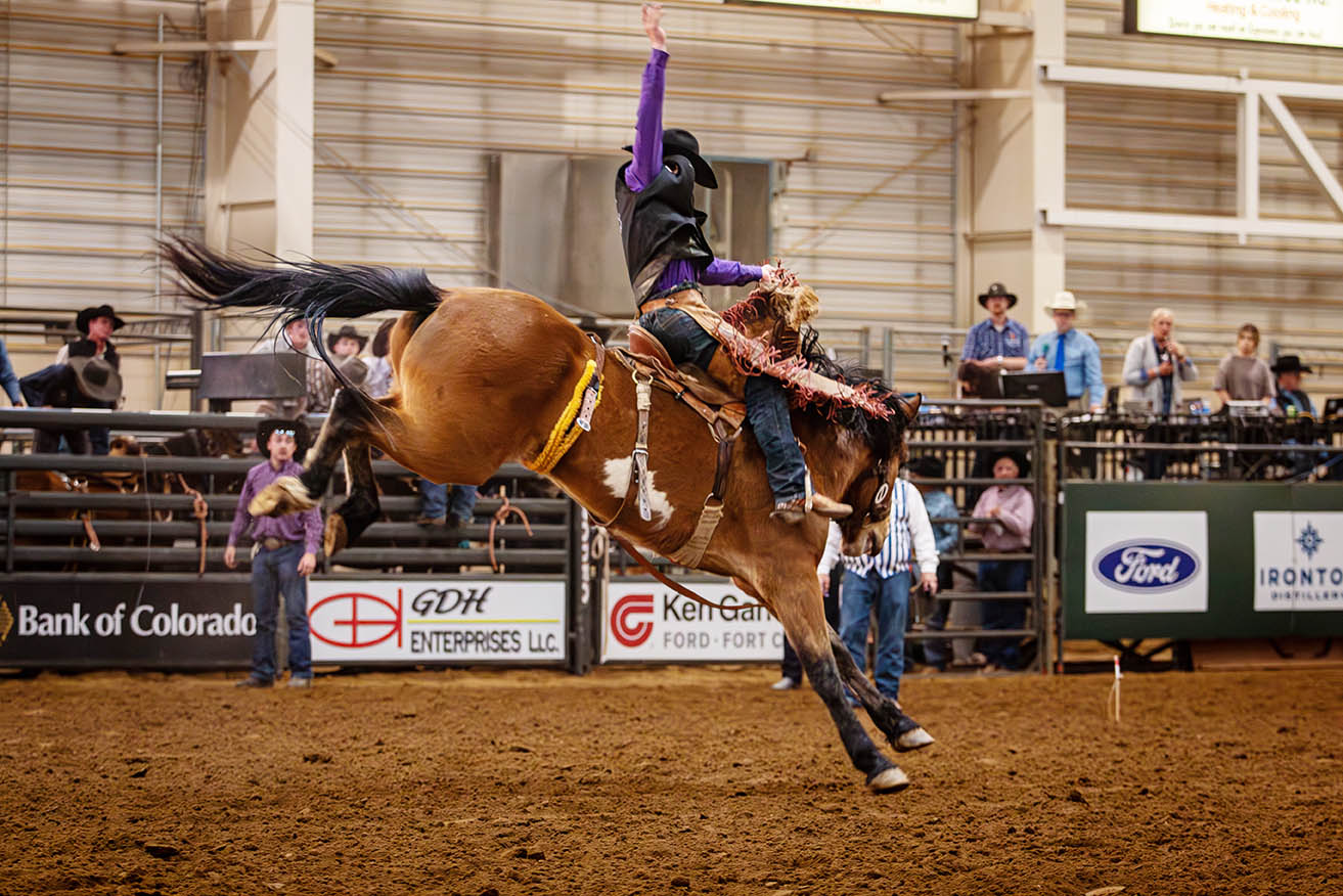 Image of Christopher Nelson bronc riding at inside at the Casper rodeo