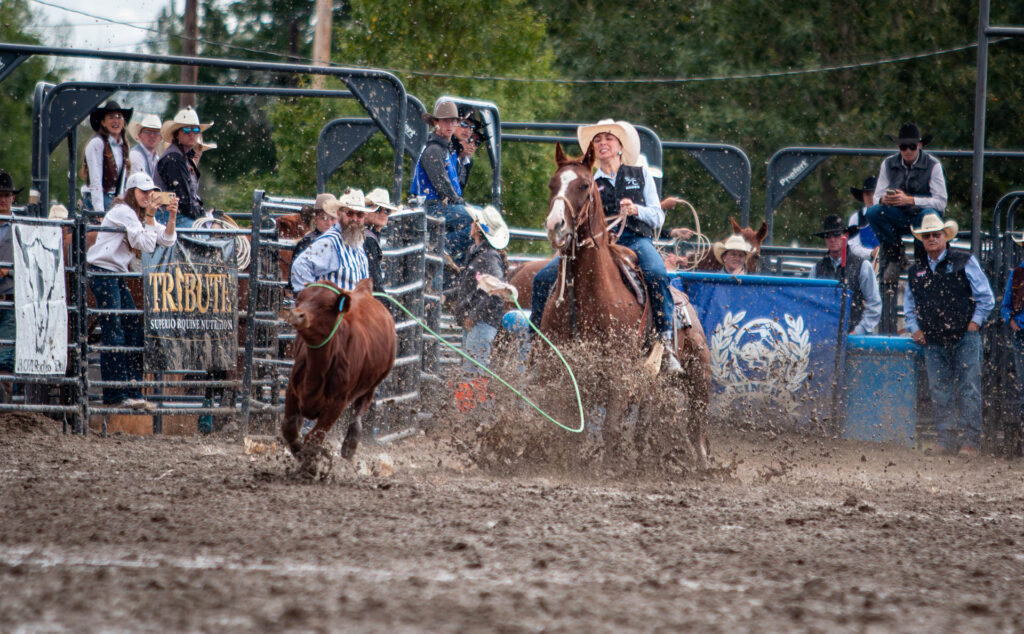 rodeo athlete in breakaway
