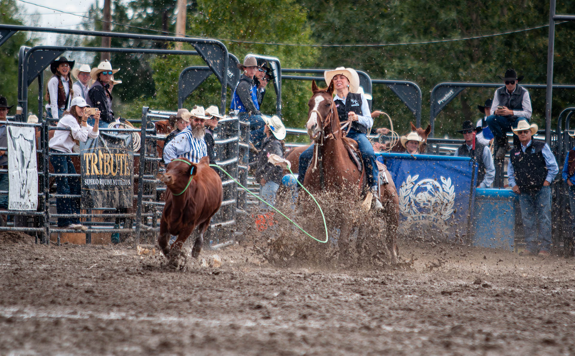 rodeo athlete in breakaway