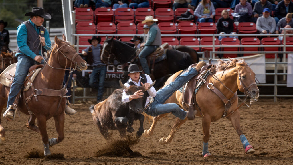 Koy McAllister steer wrestling