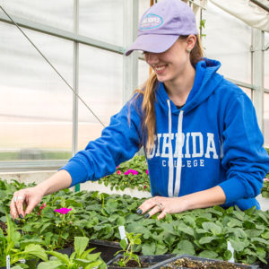 Gain hands on experience in our four student run greenhouses.