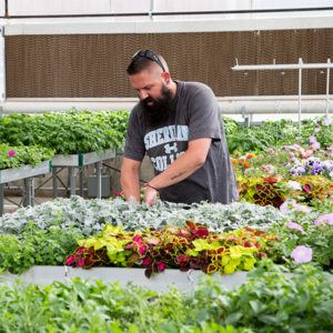 Earn your degree in Horticulture and Sports Turf Management.