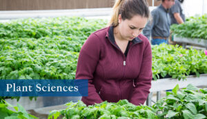 Plant Sciences program at Sheridan College