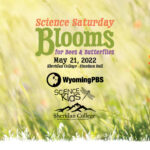 Science Saturday will be Blooms for Bees and Butterflies on May 21 starting at 1pm in Kinnison Hall