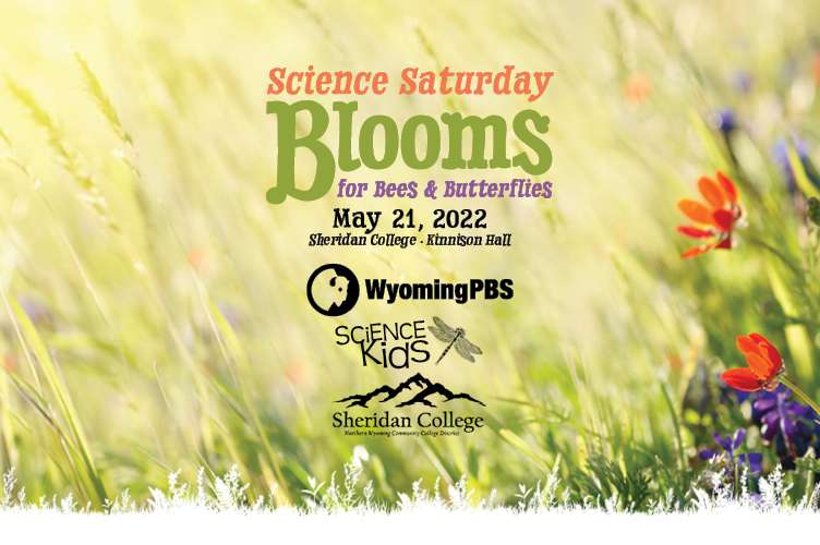 Science Saturday will be Blooms for Bees and Butterflies on May 21 starting at 1pm in Kinnison Hall
