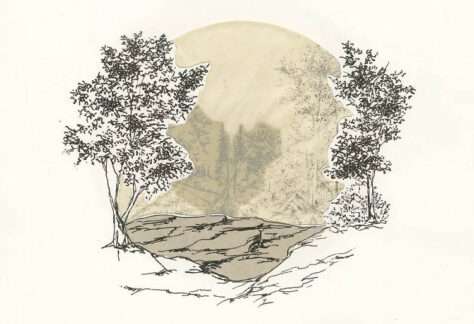 Kate Collyer image for her exhibition