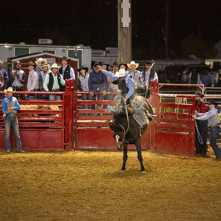 Whitney Days at Sheridan College, image of rodeo team rider at Pat Hamilton Rodeo