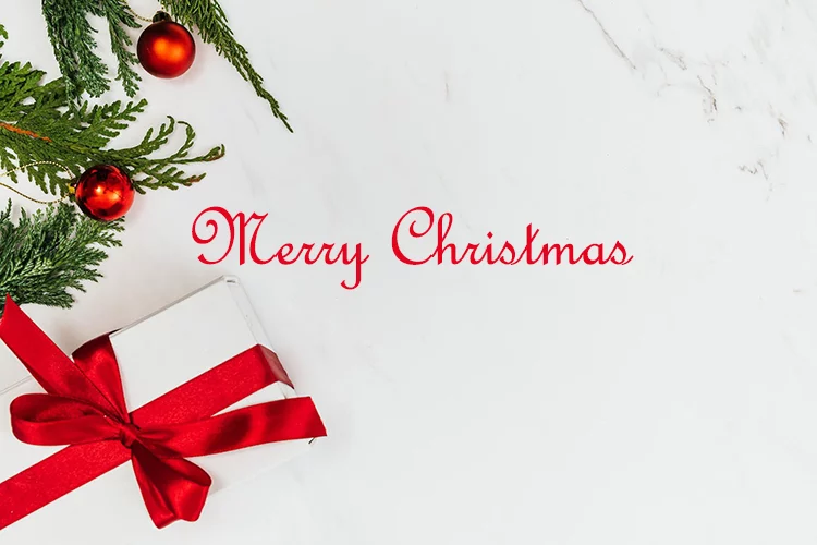 XMAS Holiday image