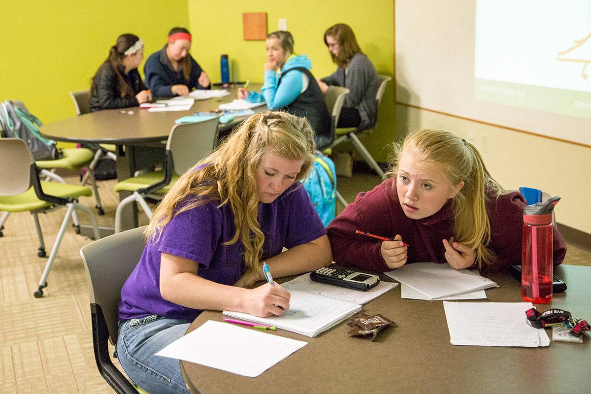 Photo of Sheridan College students studying math